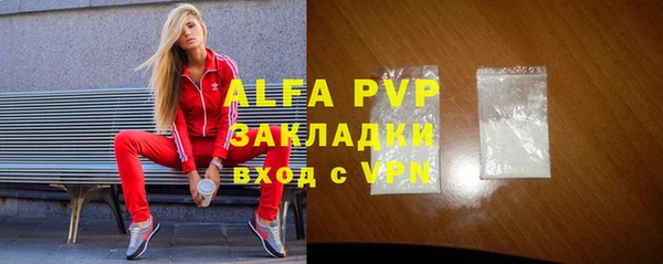 стафф Дмитриев