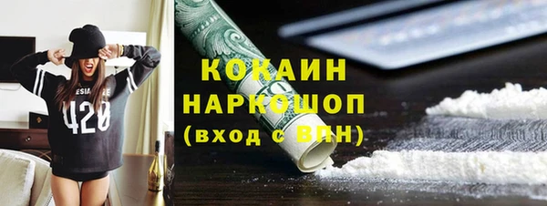 стафф Дмитриев