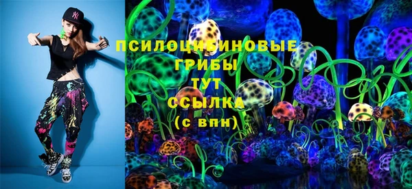 стафф Дмитриев