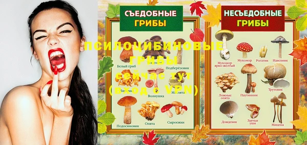стафф Дмитриев